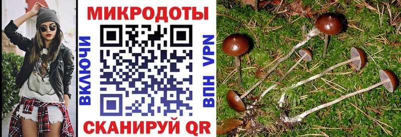 купить закладку Кореновск Псилоцибиновые грибы MAGIC MUSHROOMS